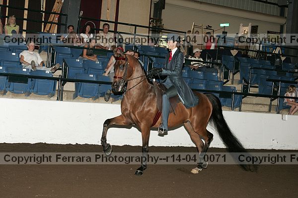 Proof Number r14-04_0071